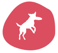 Evidence-based approach