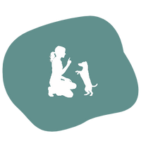 Receive Your Program